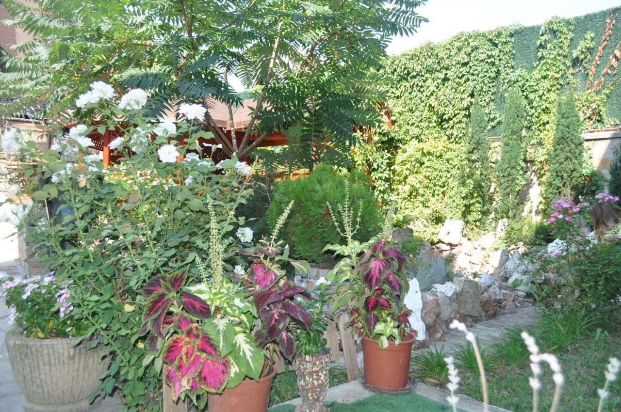 Каштел Pancevo Hotel Kültér fotó